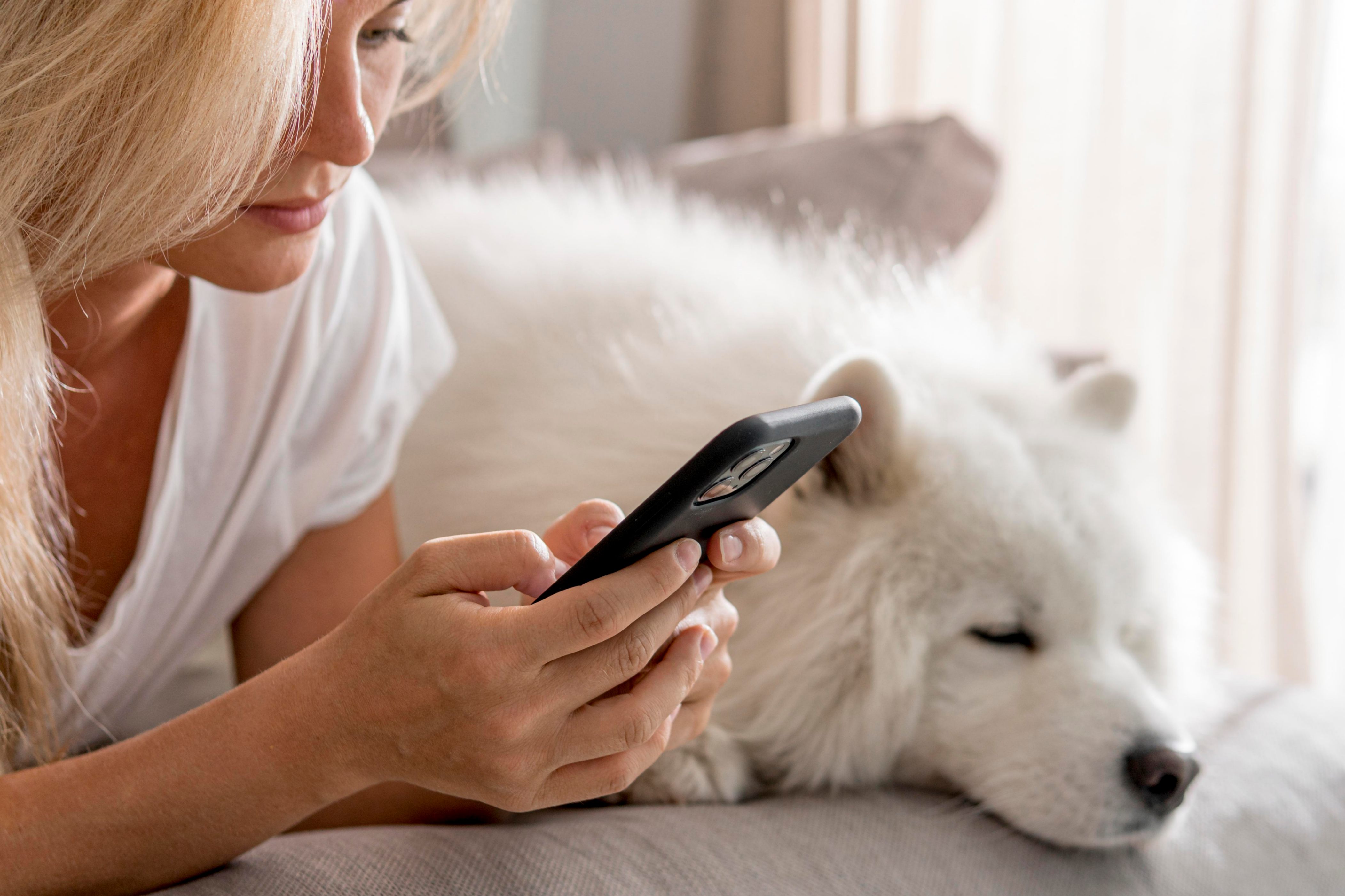 femme qui téléphone aux urgences pour son chien 
