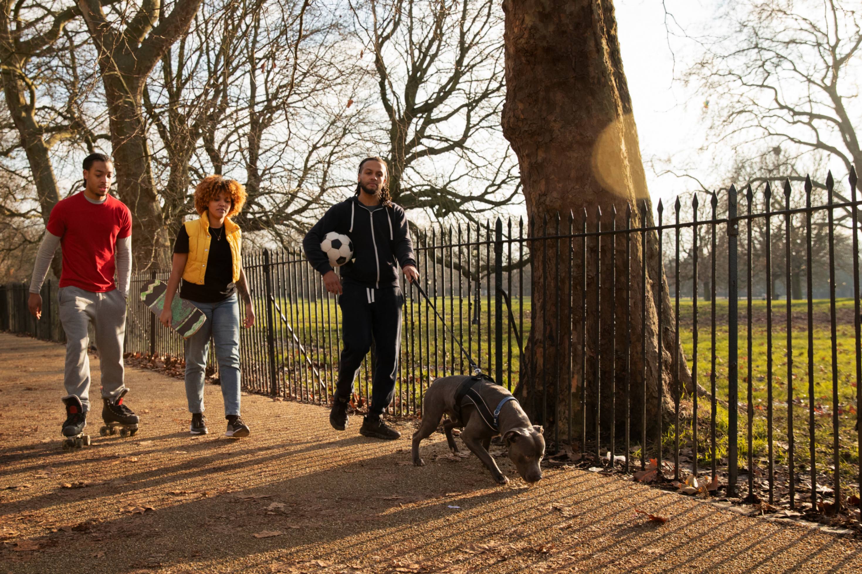 Un après-midi au parc avec trois amis et un staffi gris