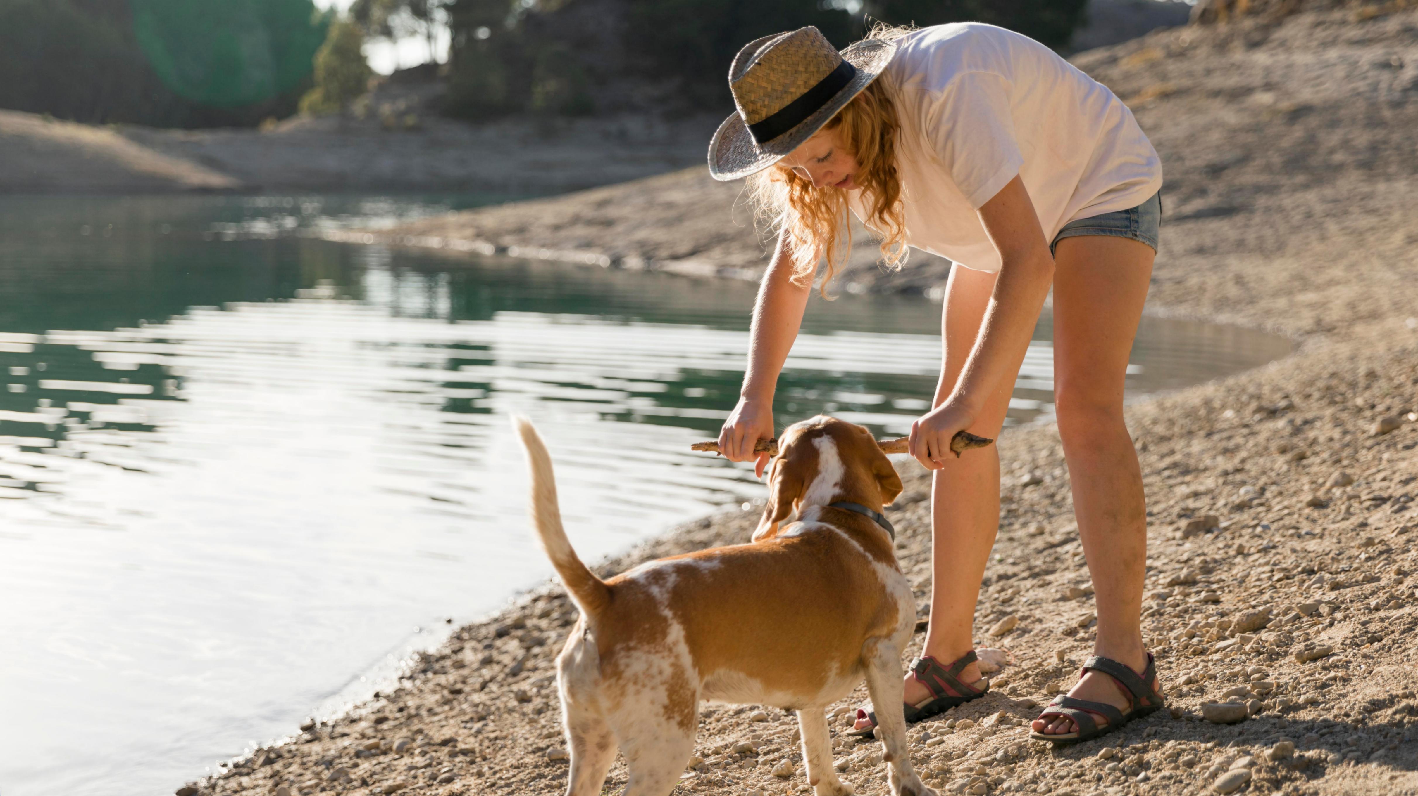 Le jeux de baton avec le chien blanc et roux au bord d'un lac