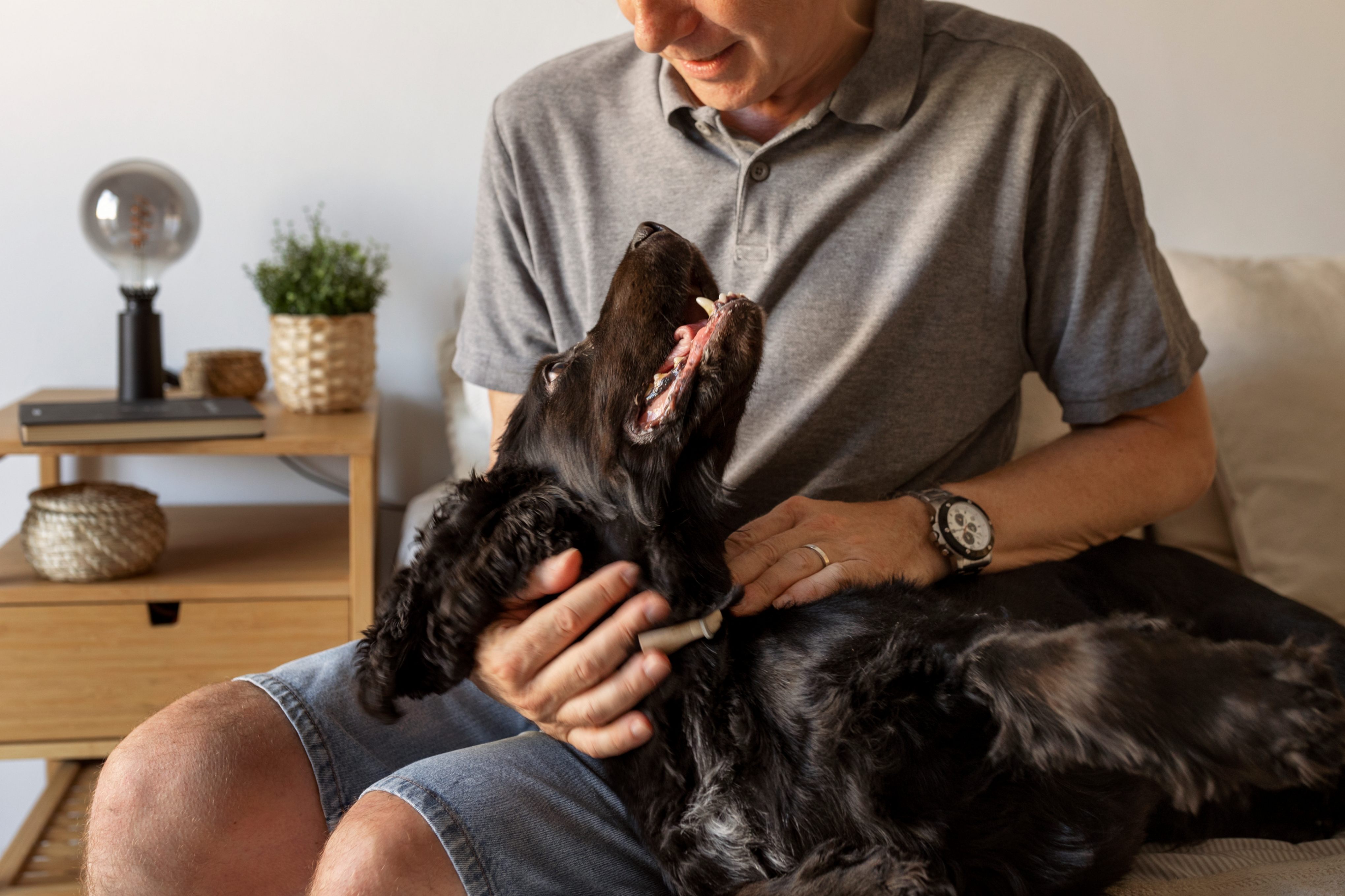 Des douleurs inhabituels chez votre chien c'est un signe à ne pas ignorer