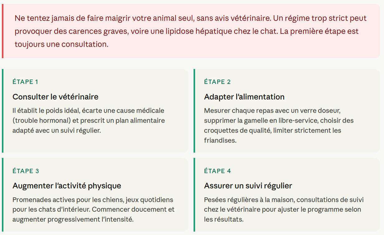 Les étapes de protocole traitement d'obèsité canine