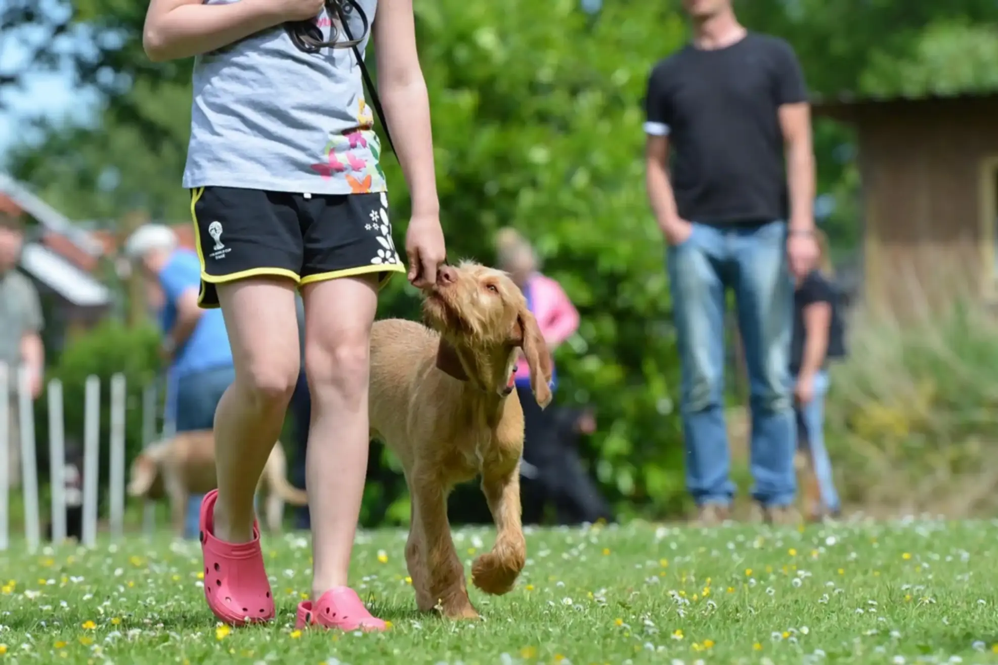 une promenade avec son chien pour une jeune fille