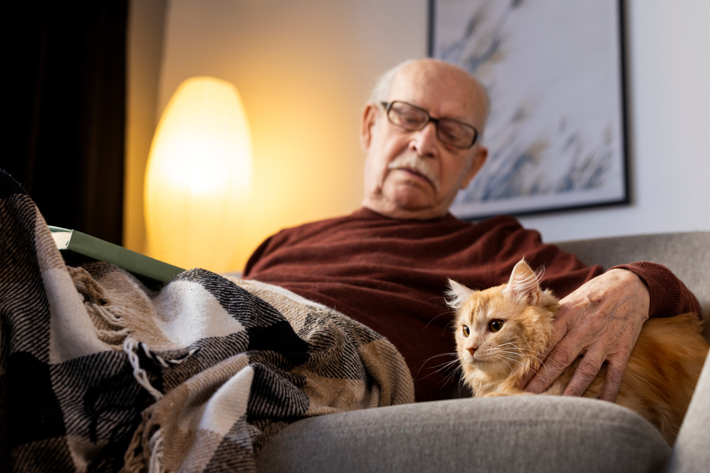 Une personne âgé avec son chat âgé