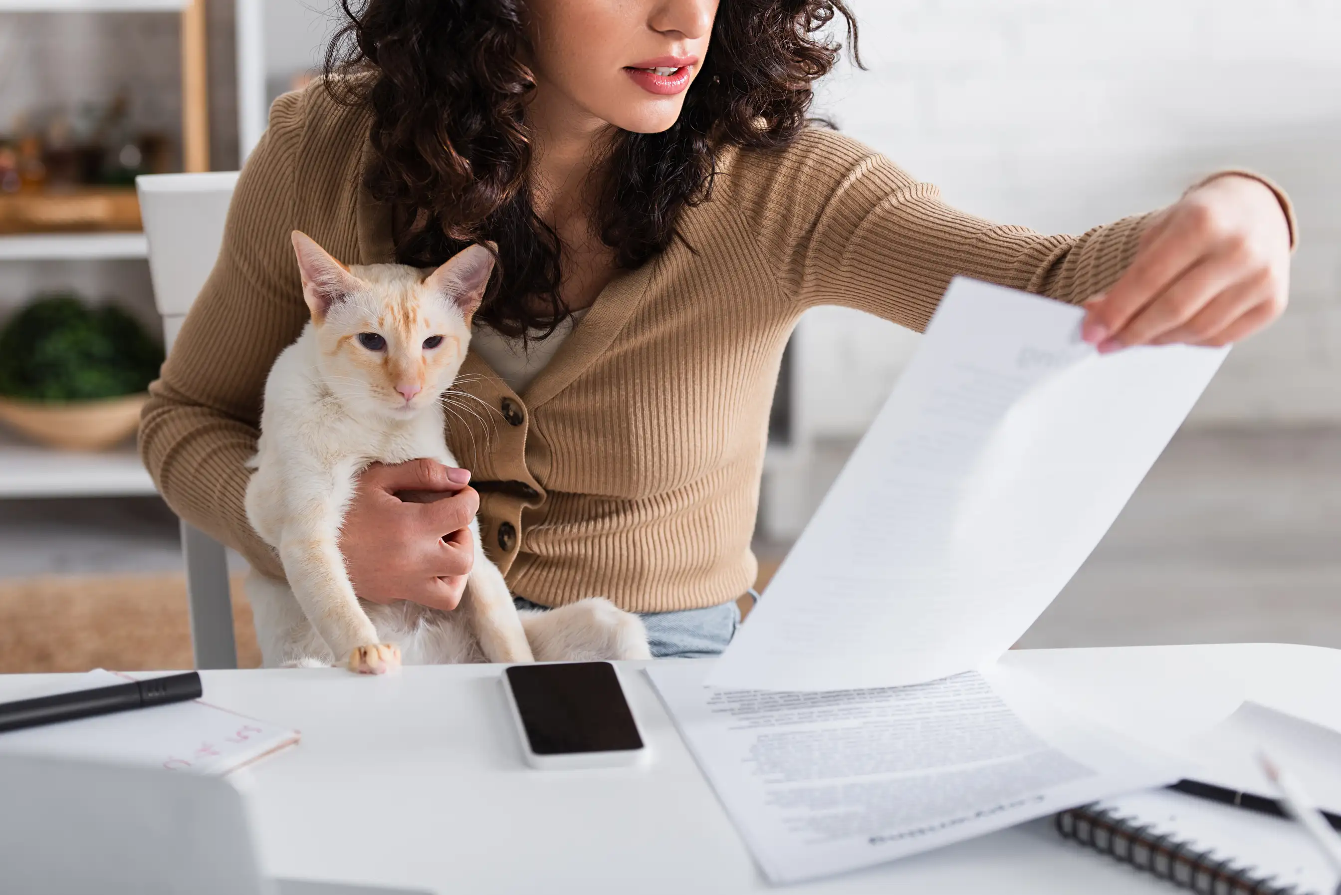 Une jeune femme vérifie son contrat d'assurance santé animale pour son chat