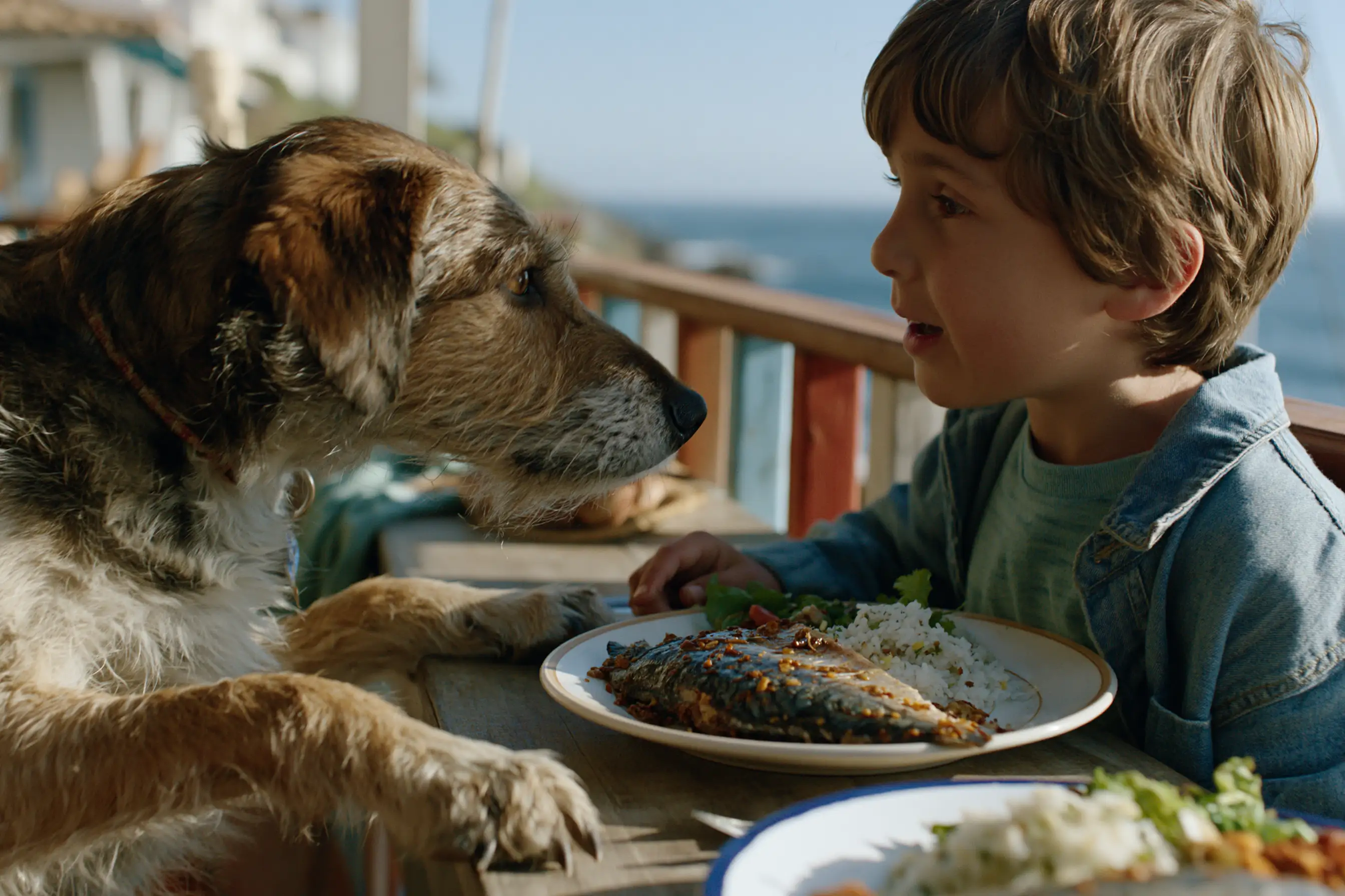 Un enfant mange son assiette et son chien essaie de manger avec lui