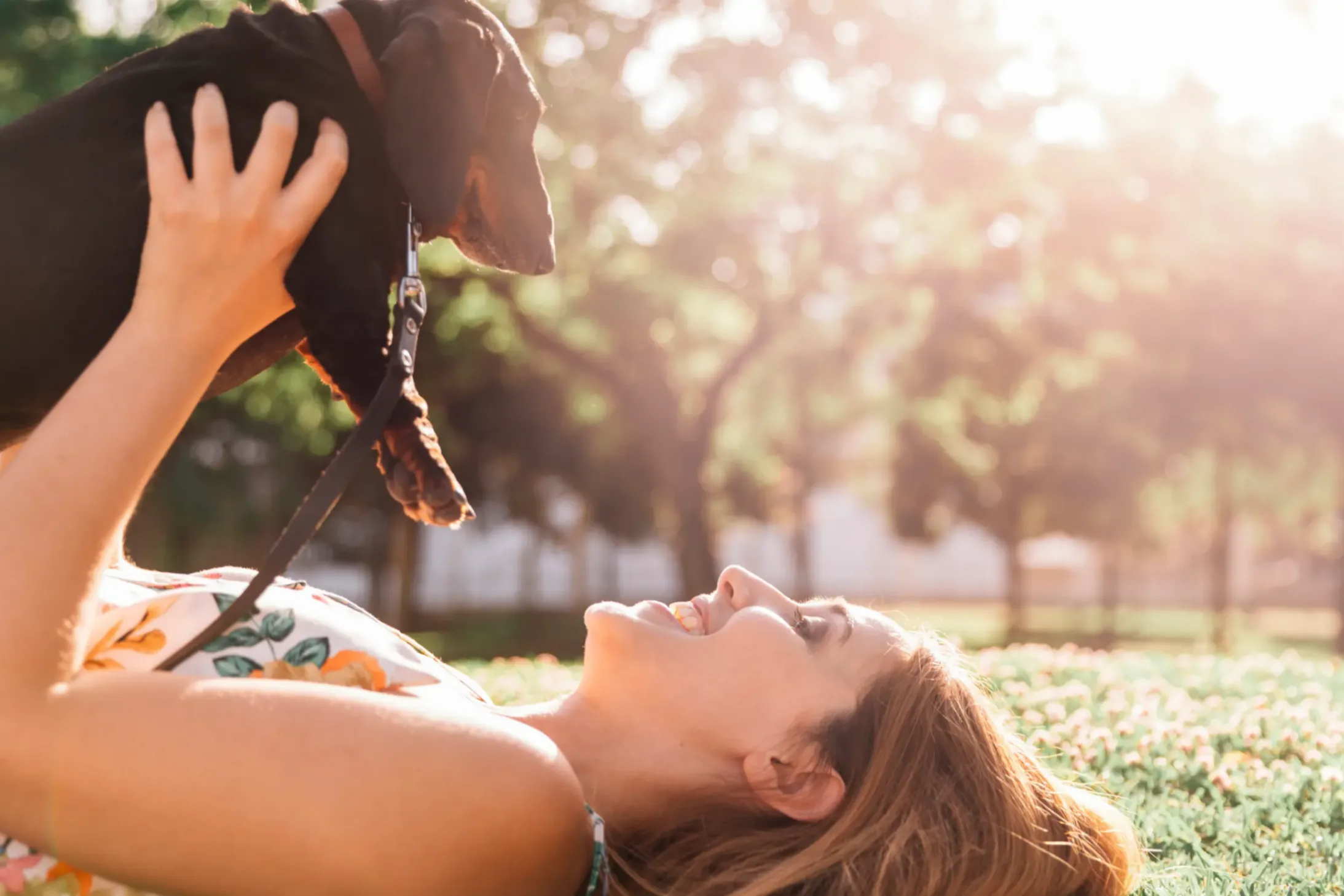un ejeune fille avec son teckel au soleil font des galipettes dans l'herbe