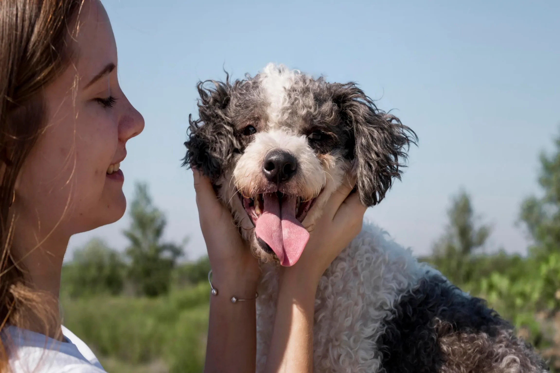 petit chien avec sa maitresse claque des dents de joie