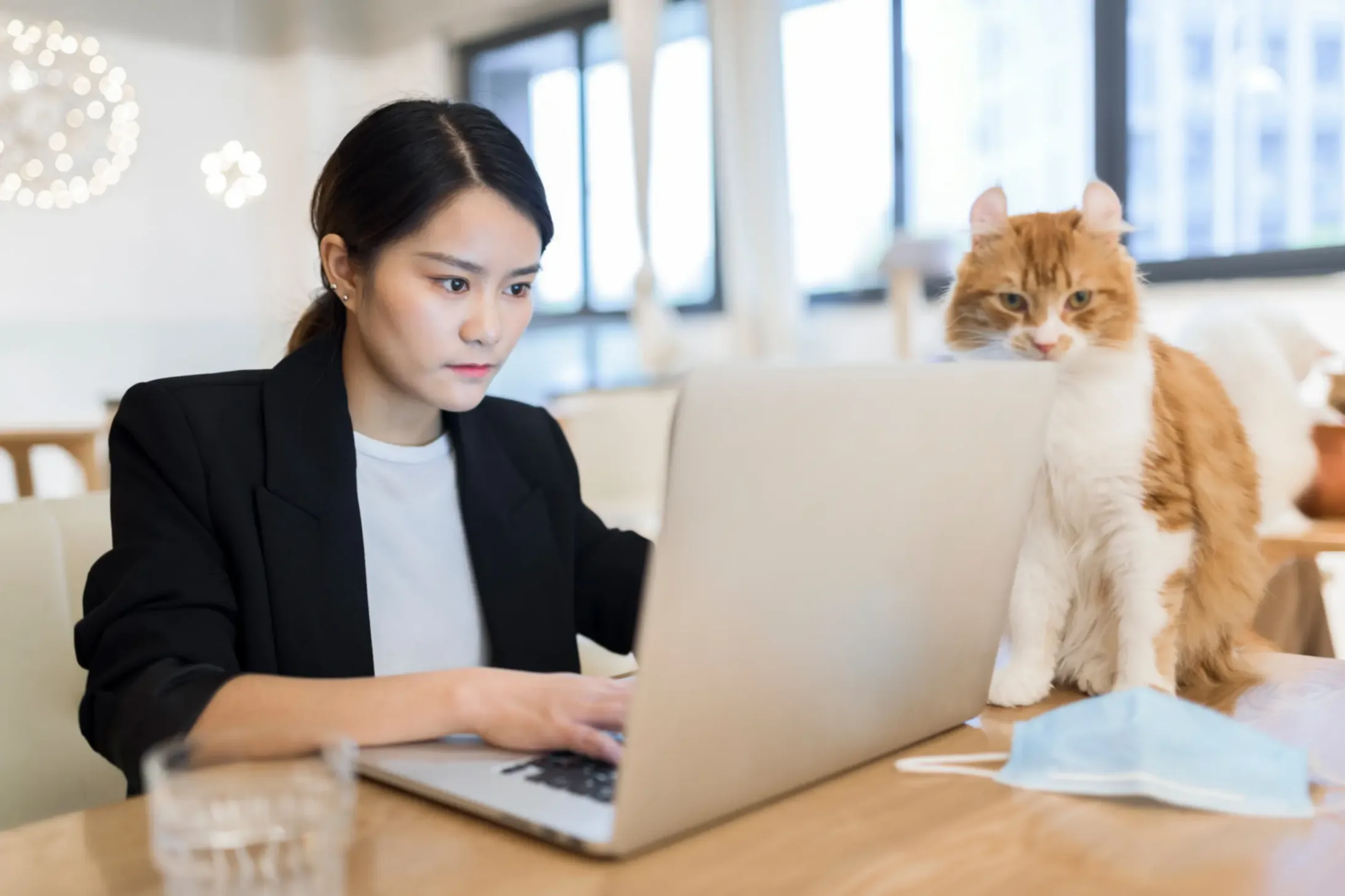 une dame qui regarde son ordinateur avec son chat à coté d'elle