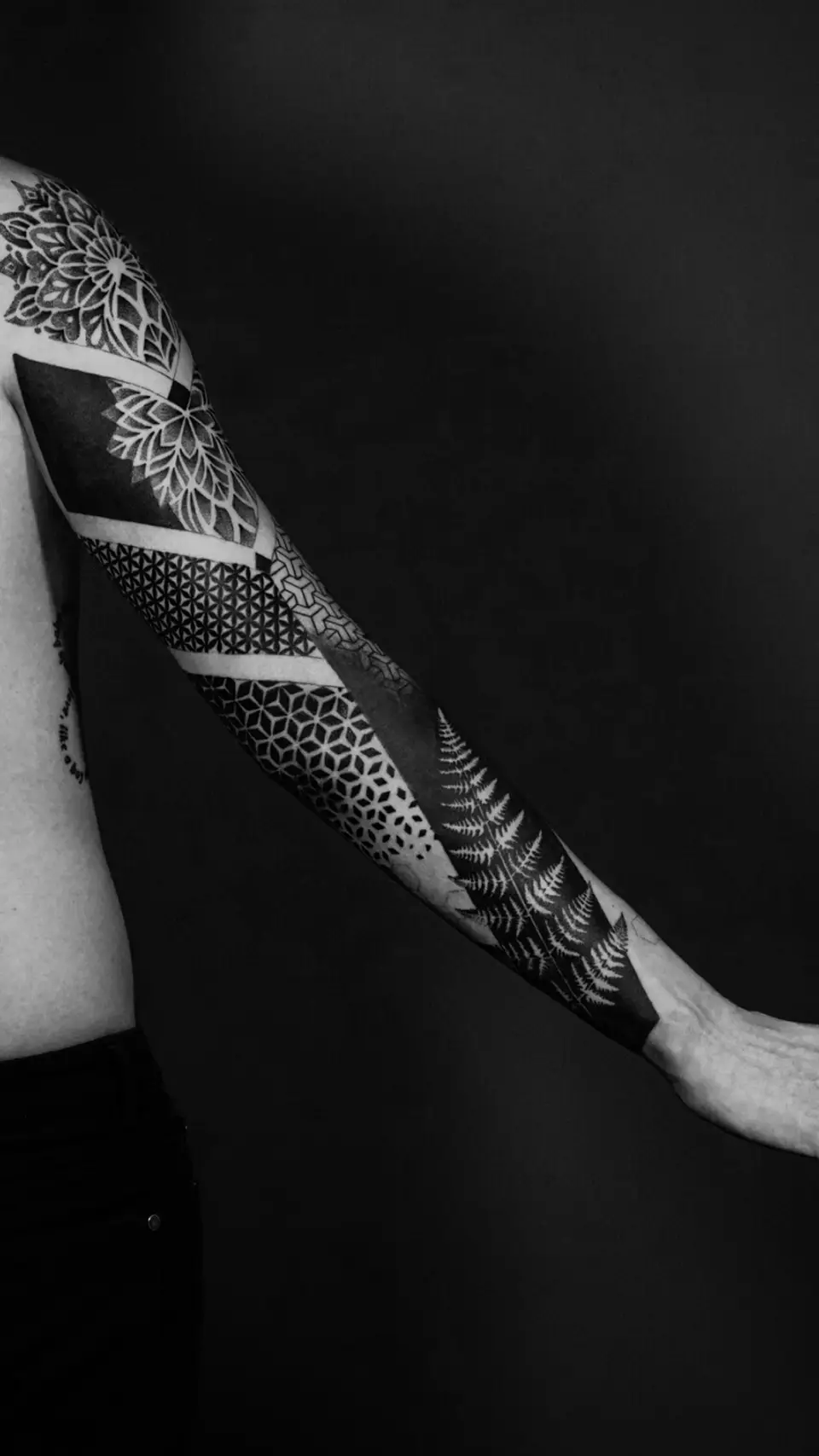 Arm tattoo sleeve featuring geometric patterns and a fern leaf design on a person's extended arm.