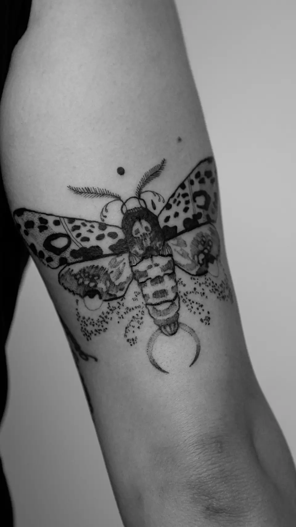 Black and grey tattoo of a moth with patterned wings and a crescent moon on a person's arm.