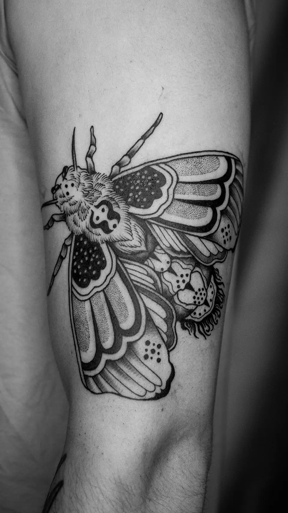 Black and gray tattoo of a detailed moth with patterned wings on upper arm skin.