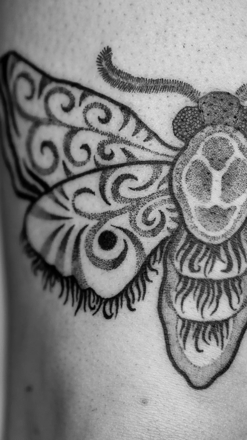 Close-up of a black and grey tattoo of a stylized insect with intricate swirl patterns on its wings and body.