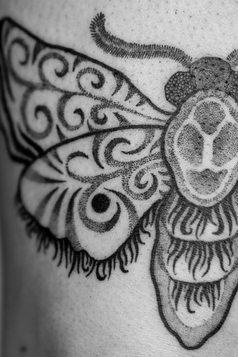 Close-up of a black and grey tattoo of a stylized insect with intricate swirl patterns on its wings and body.