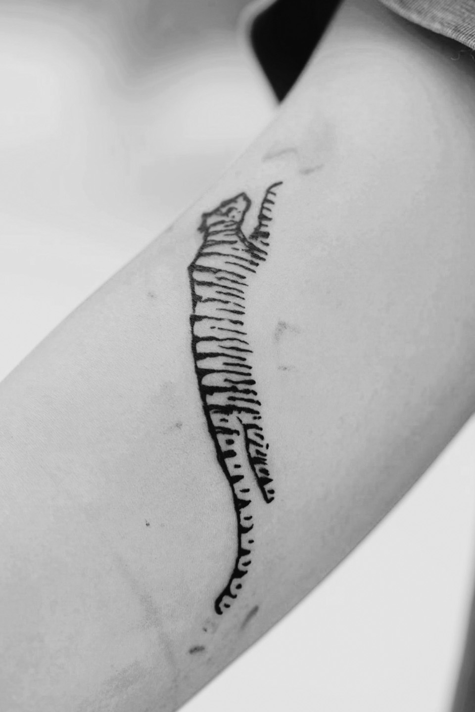Black ink tattoo of a detailed moth with an eye on its body and crescent moon below.