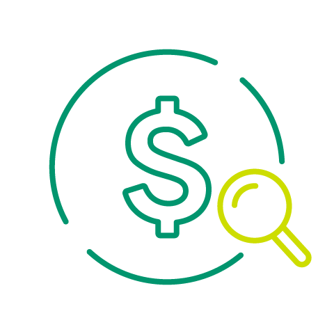 An icon with a dollar sign inside a circle with a small magnifying glass.