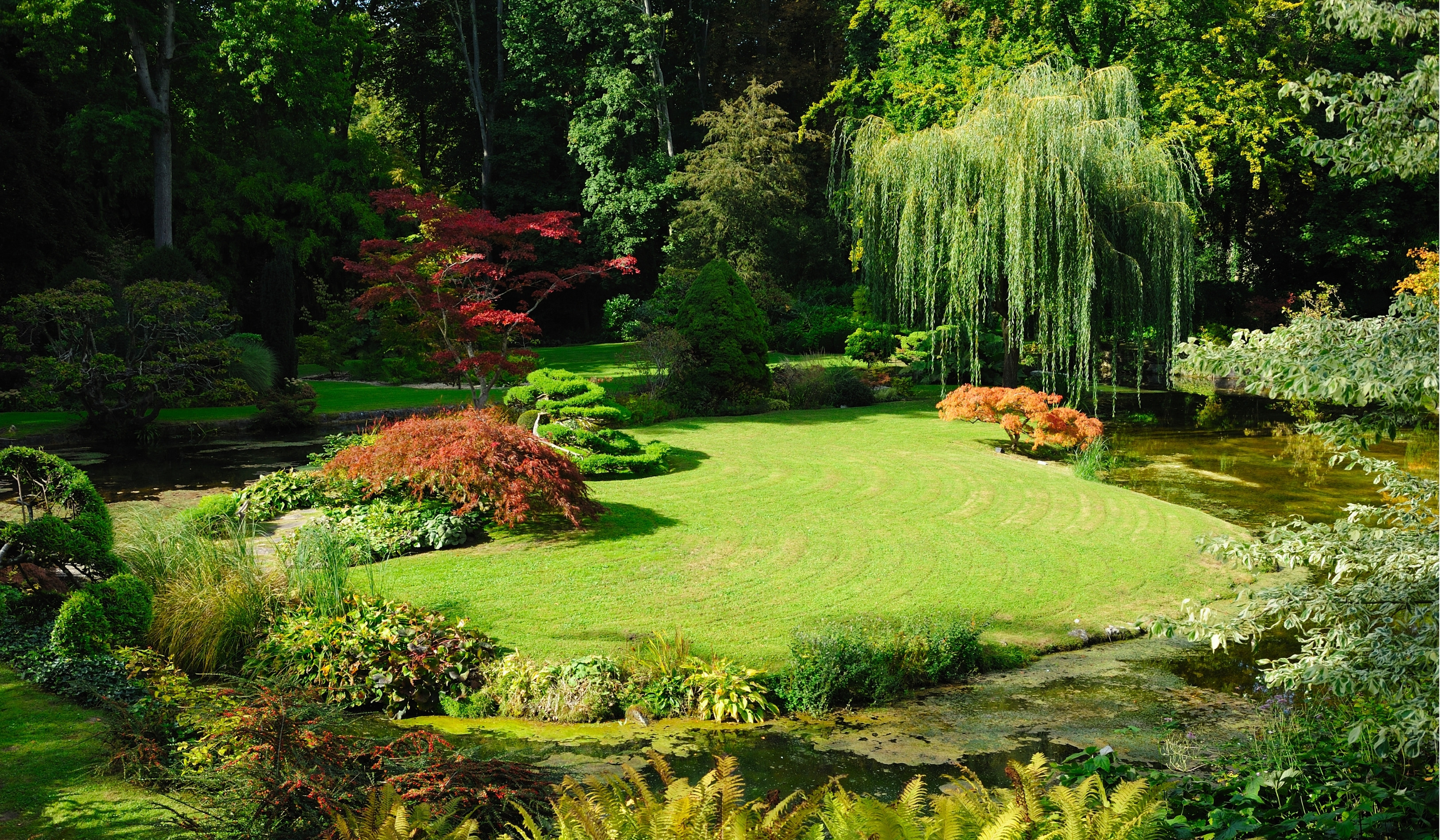 image of gardening tools organized on a wall