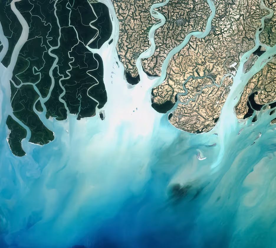 Aerial view of a coastal delta with winding river channels flowing into the turquoise sea, bordered by dark green and tan land masses.