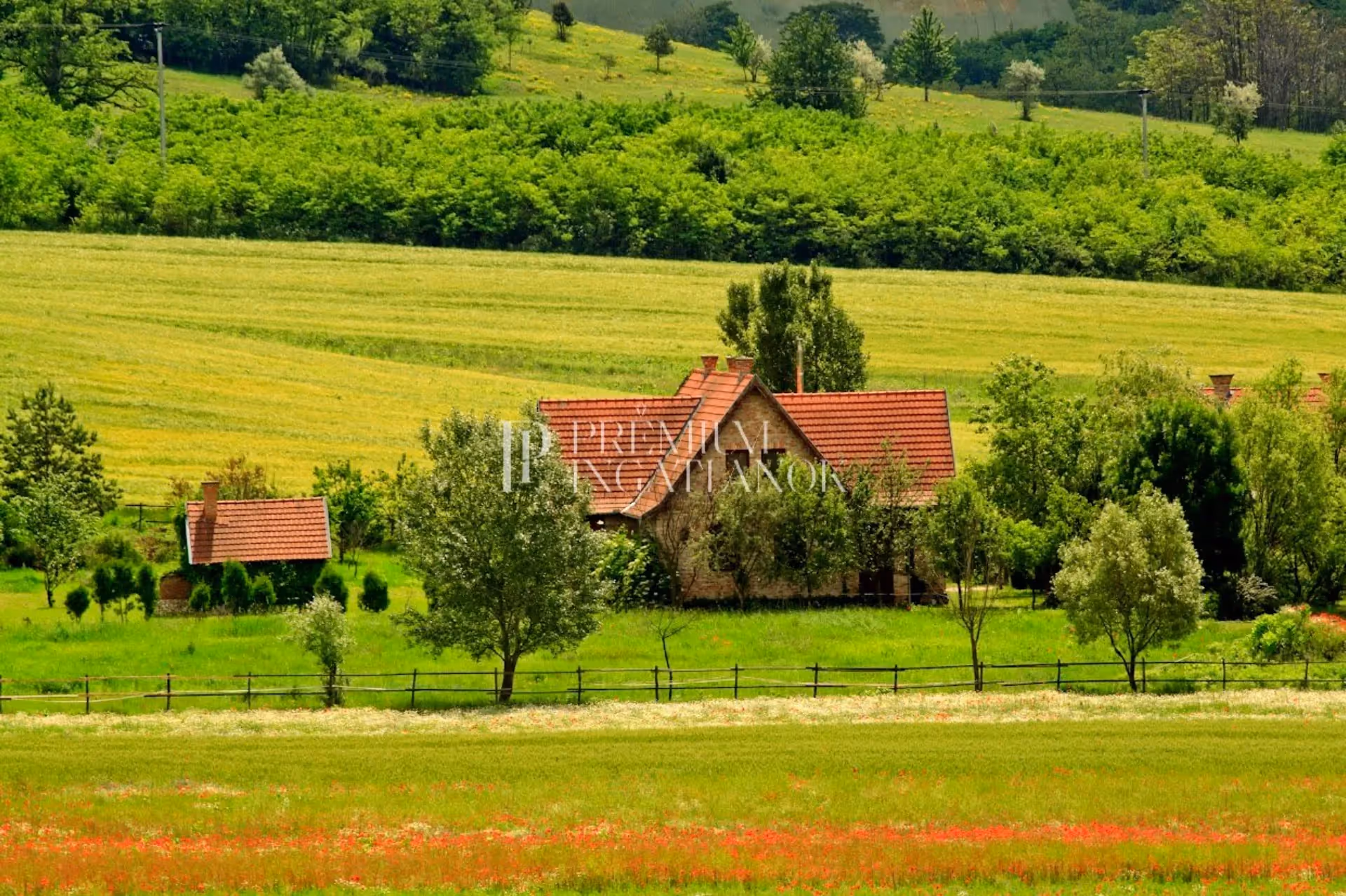 2184 Vácegres - Közel 4 hektáros családi birtok a Gödöllői Dombság nyúlványain