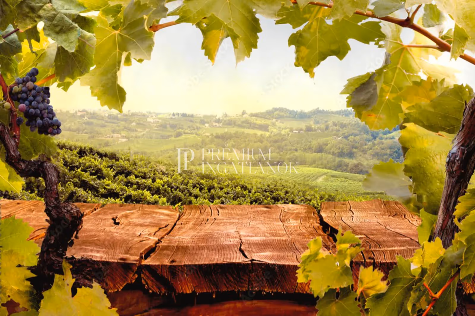 Siklós, Tenkes Hegyoldal