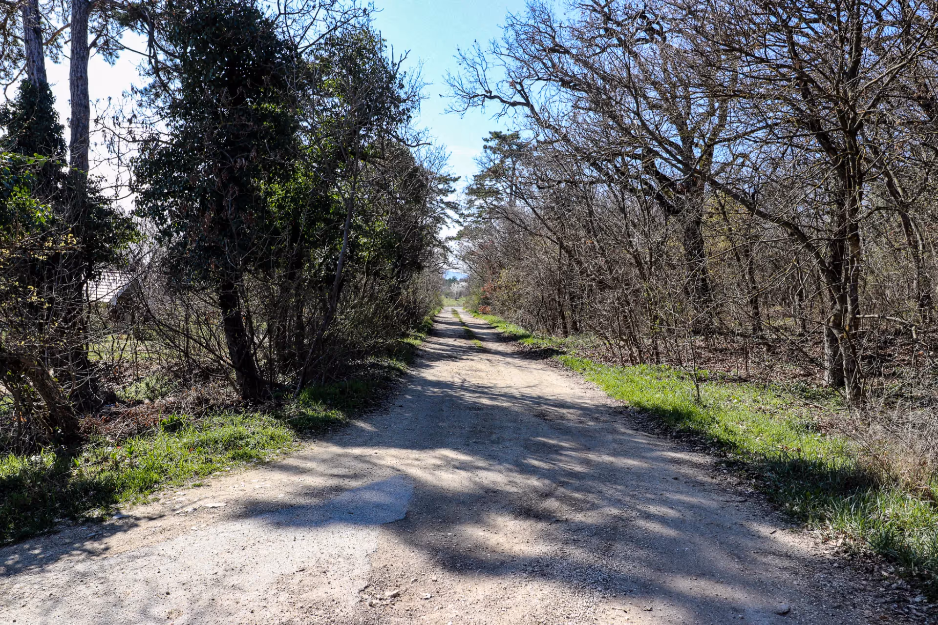 8243 Balatonakali - Balatoni panoráma, gyönyörűen ápolt telek, fiatal és termő mandulafák, beépítési lehetőség