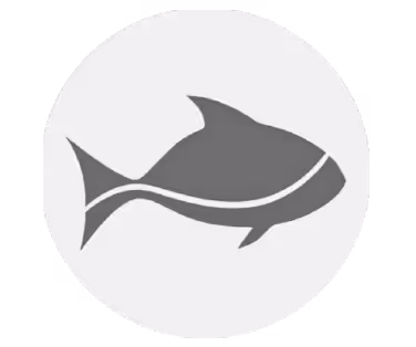 Green Fish