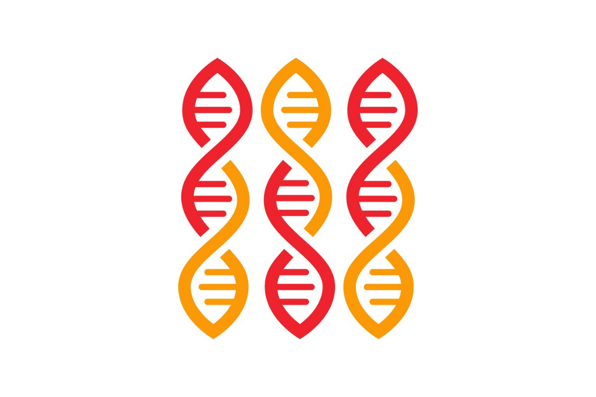 Gene regulation and genomics in neurochemistry showing RNA and gene expression processes