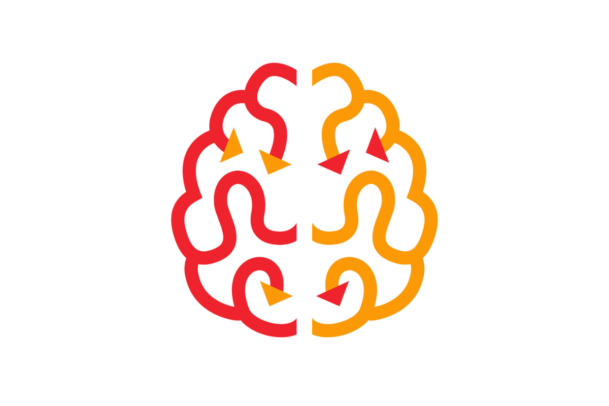 Brain development and cell differentiation in the nervous system