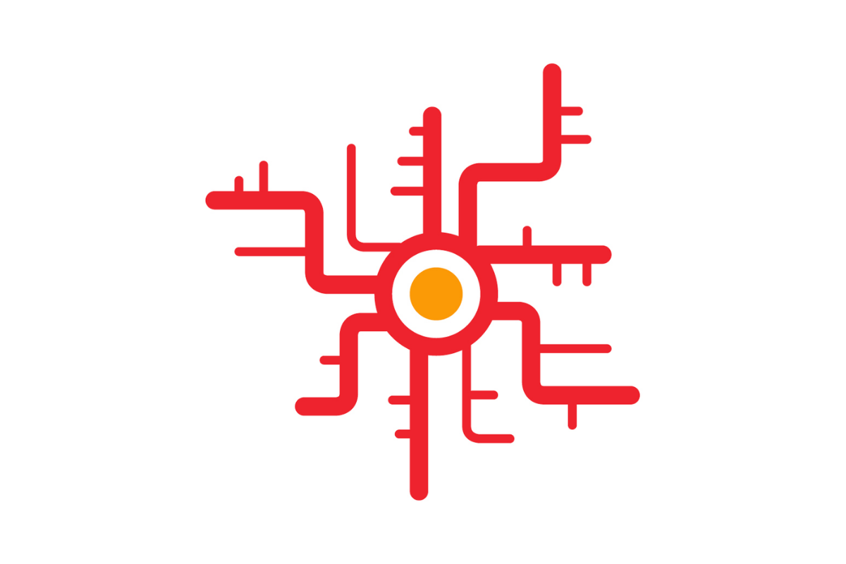 Neuroinflammation and neuroimmunology in the brain