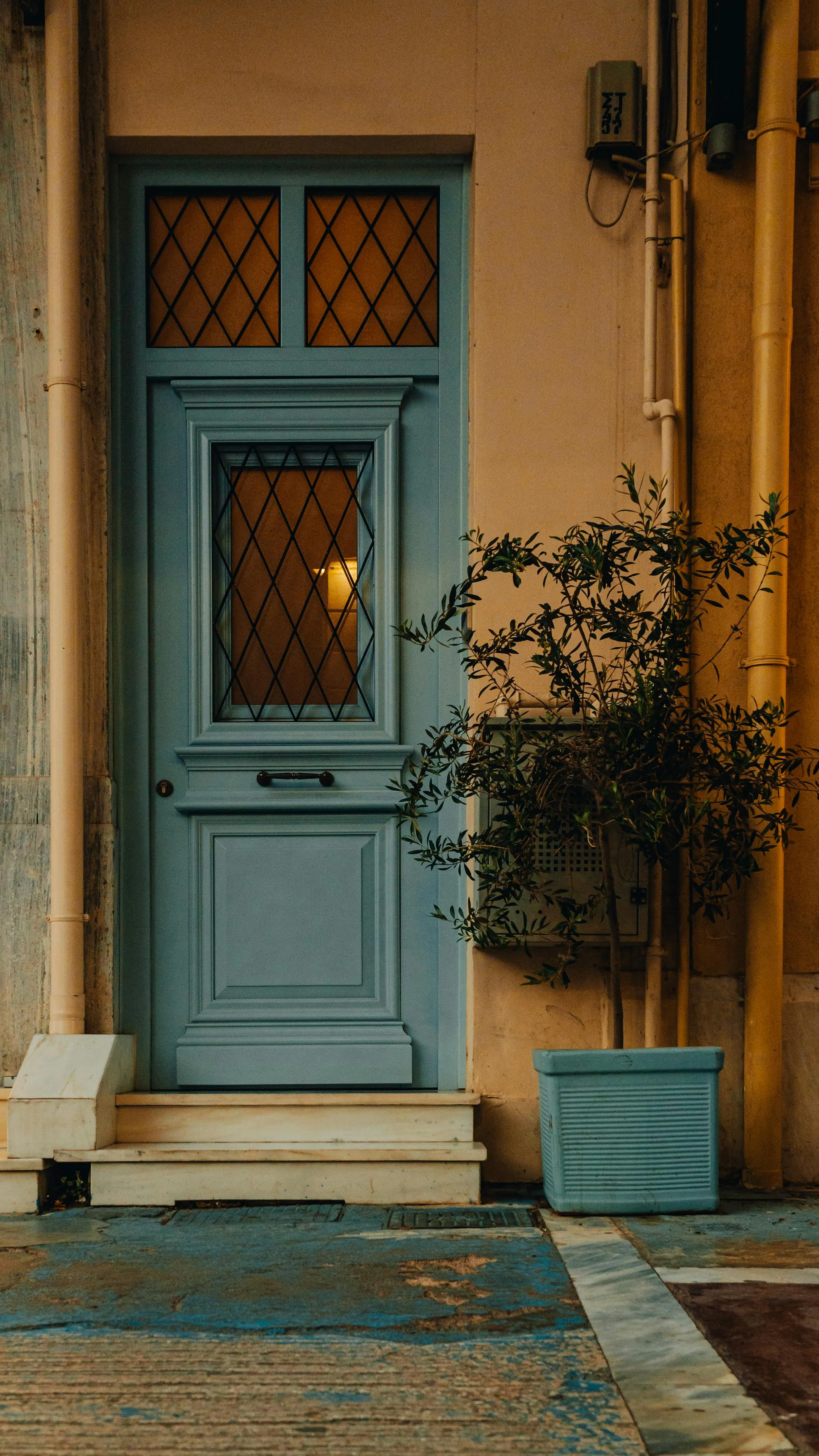 Light blue door with diamond-patterned glass panels and a potted plant on the right side in front of beige walls.