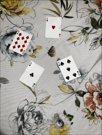 Four animated playing cards—Ace of Hearts, Ten of Diamonds, Ace of Clubs, and Five of Spades—laid on a floral-patterned fabric with a butterfly design in the center.