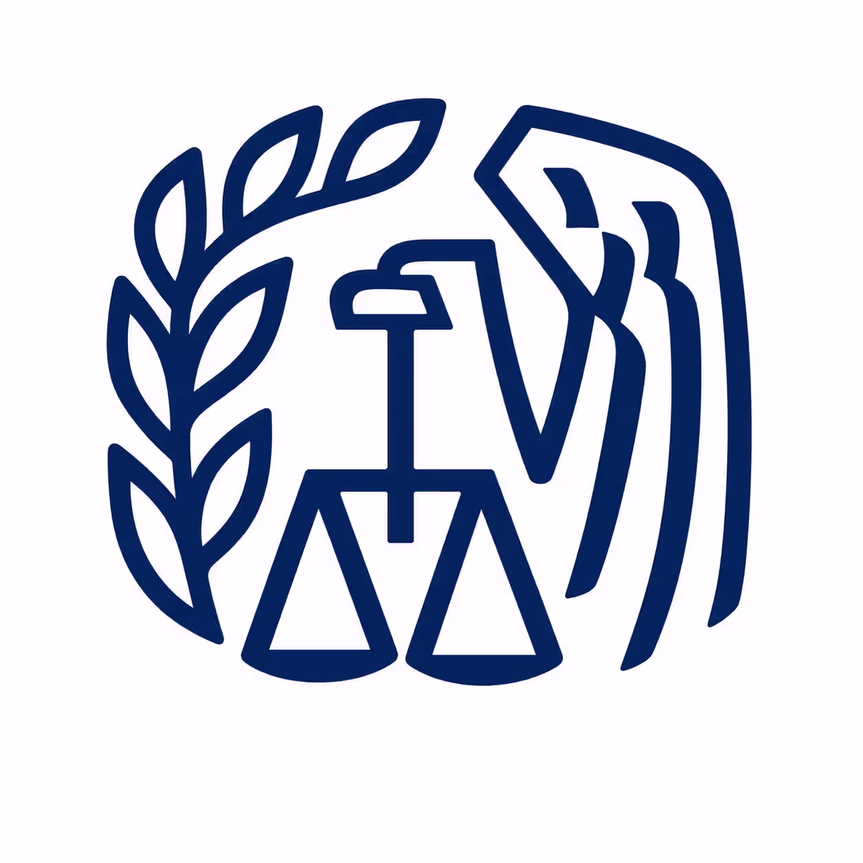 IRS business link