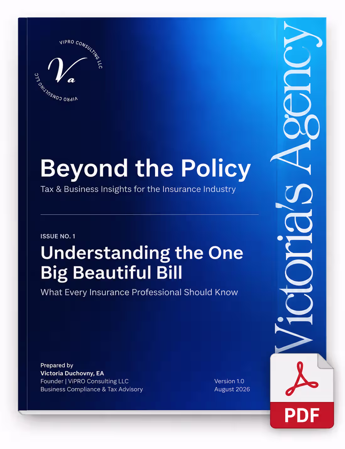 Beyond the PolicyIssue No. 1 — Understanding the One Big Beautiful Bill
