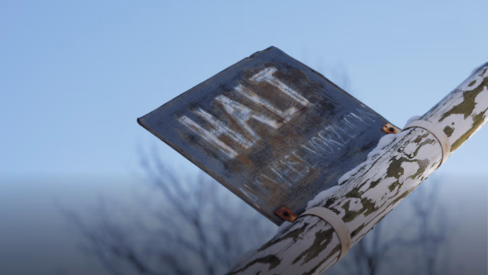 Auschwitz_Visuals_13_News