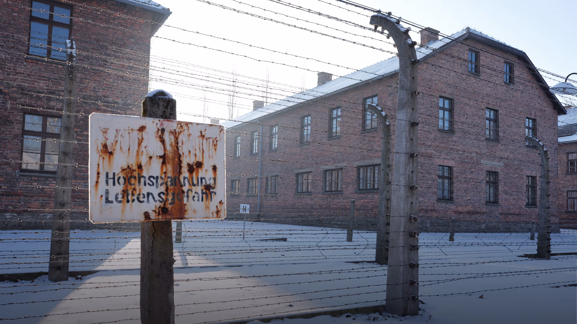 Auschwitz_Visuals_08_Satzung