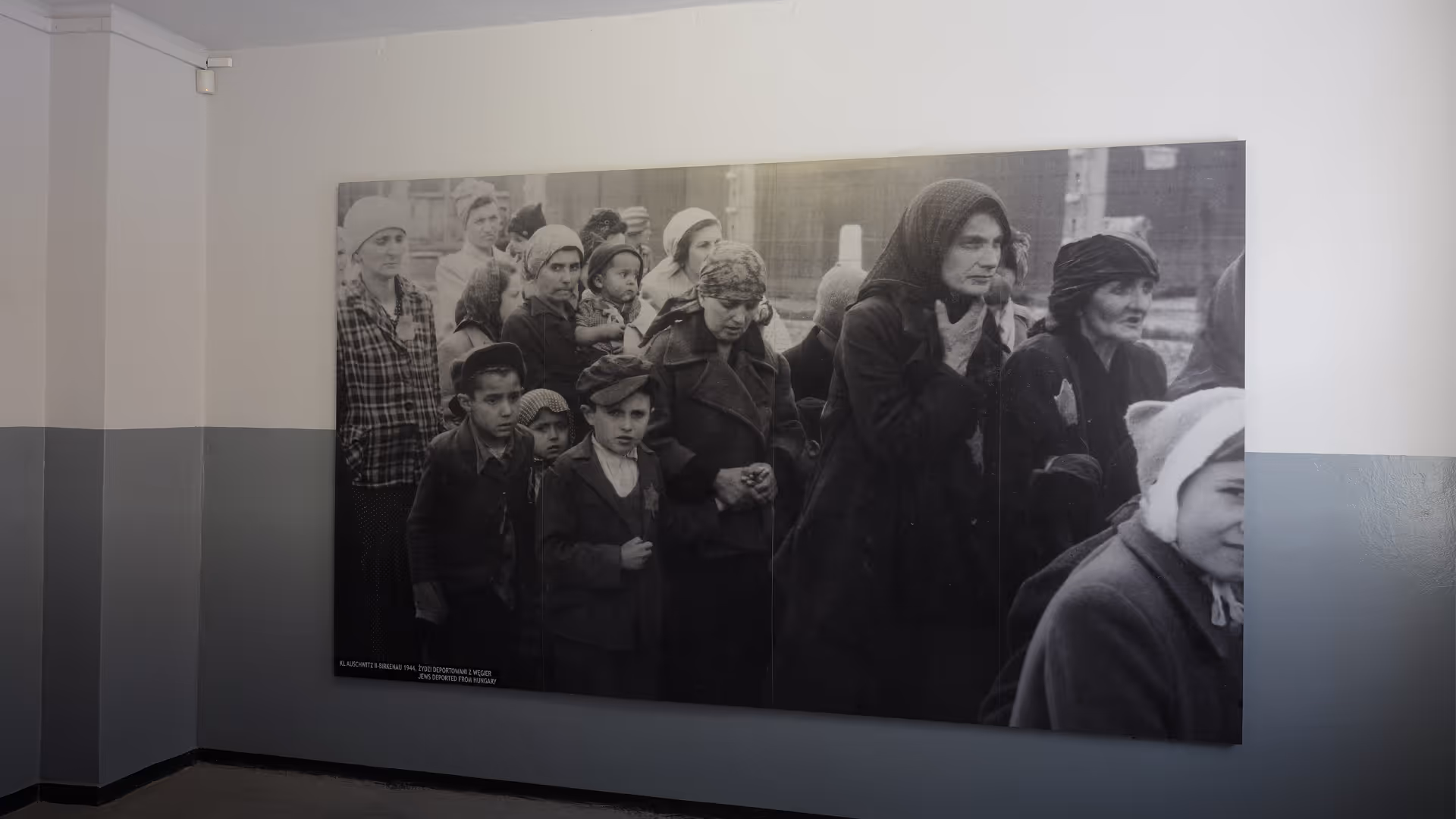Auschwitz_Visuals_14_Spender