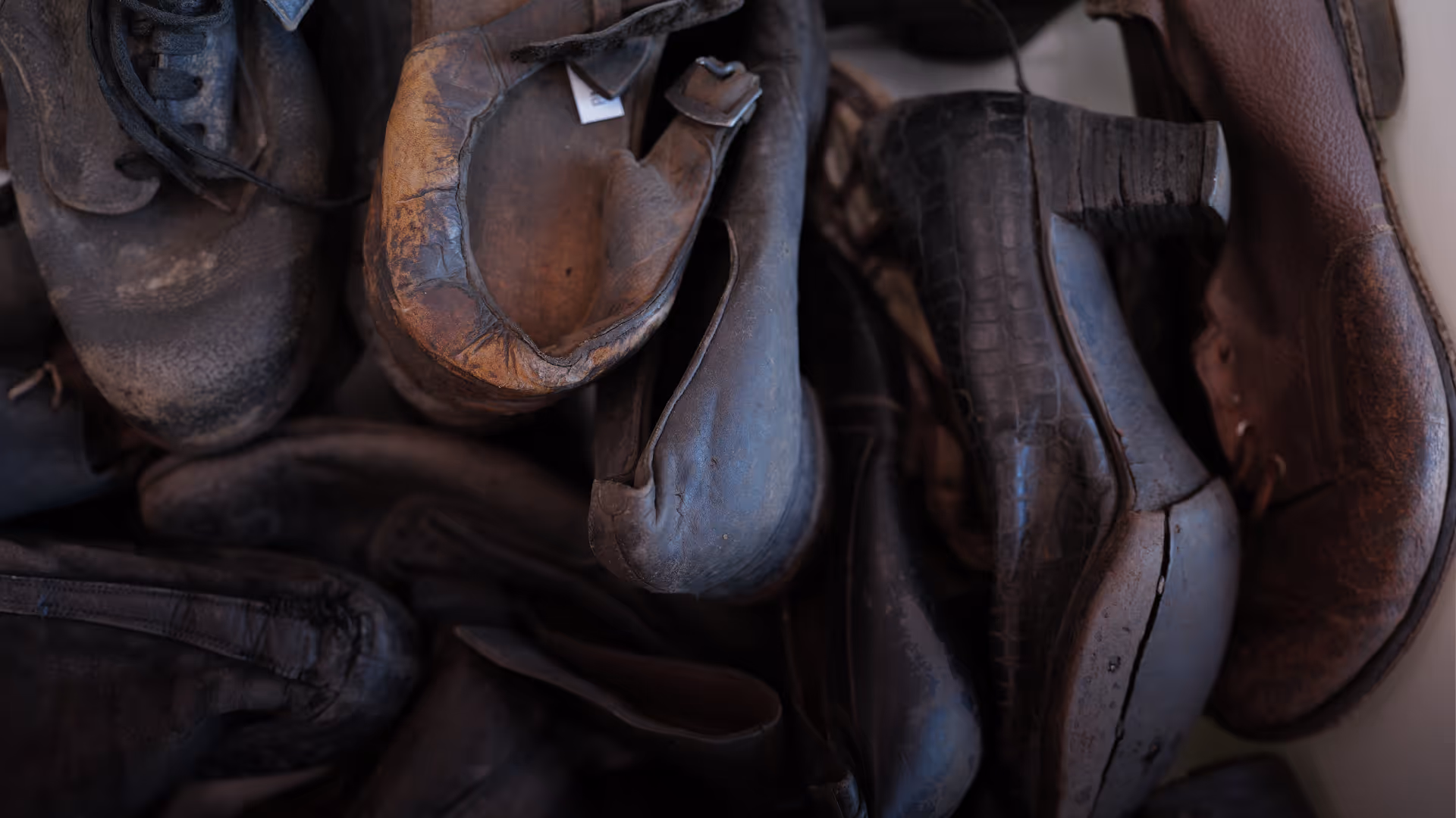 Auschwitz_Visuals_04_Vorstand