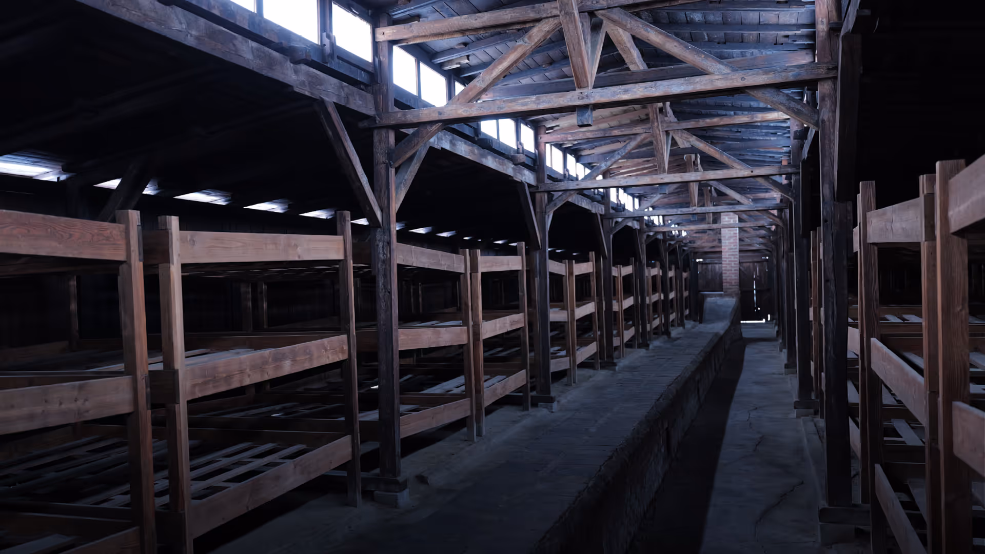 Auschwitz_Visuals_12_Fuehrung