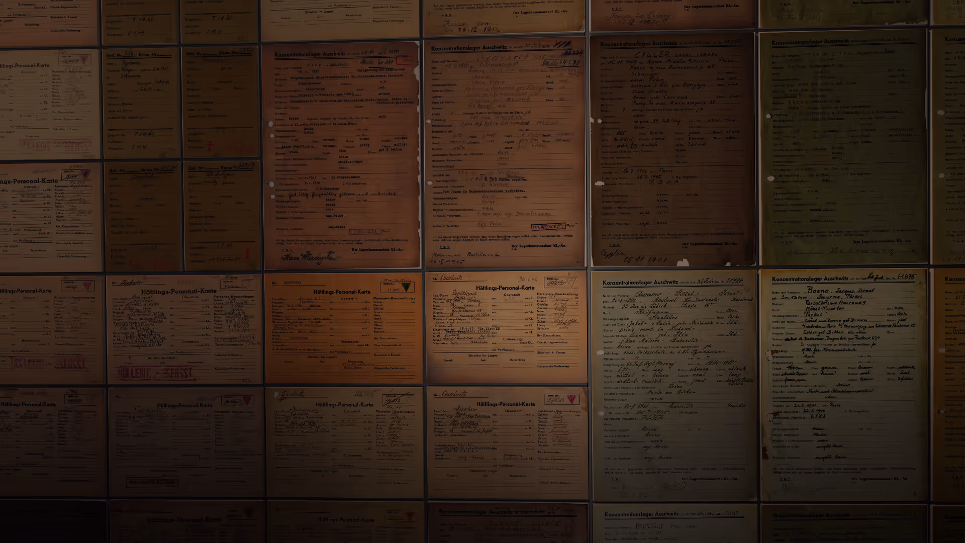 Auschwitz_Visuals_07_Komitee