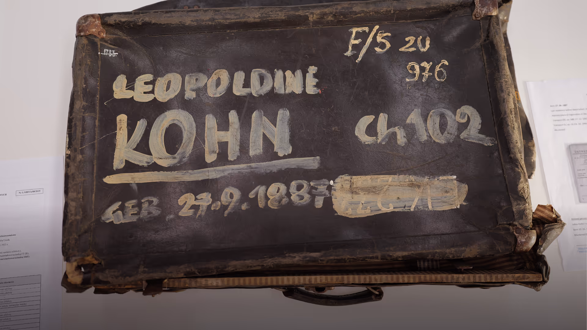 Auschwitz_Visuals_06_Rat