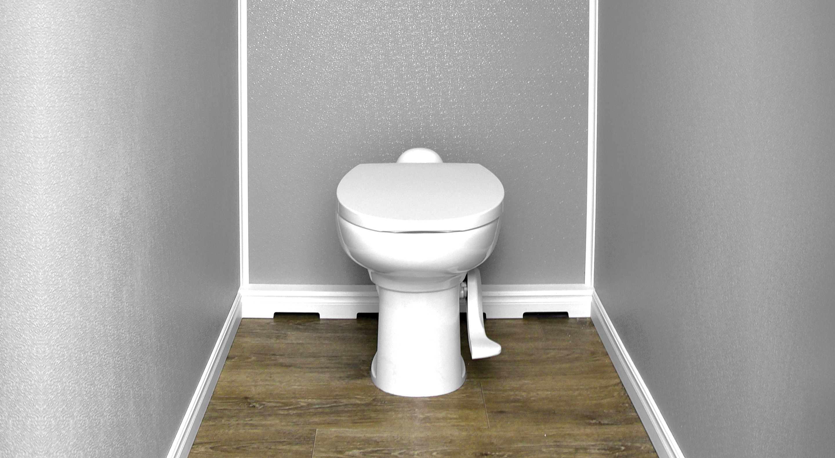 White toilet with closed lid in a small bathroom with gray walls and wood-look flooring.