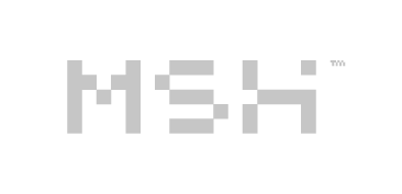 Grupo MSH