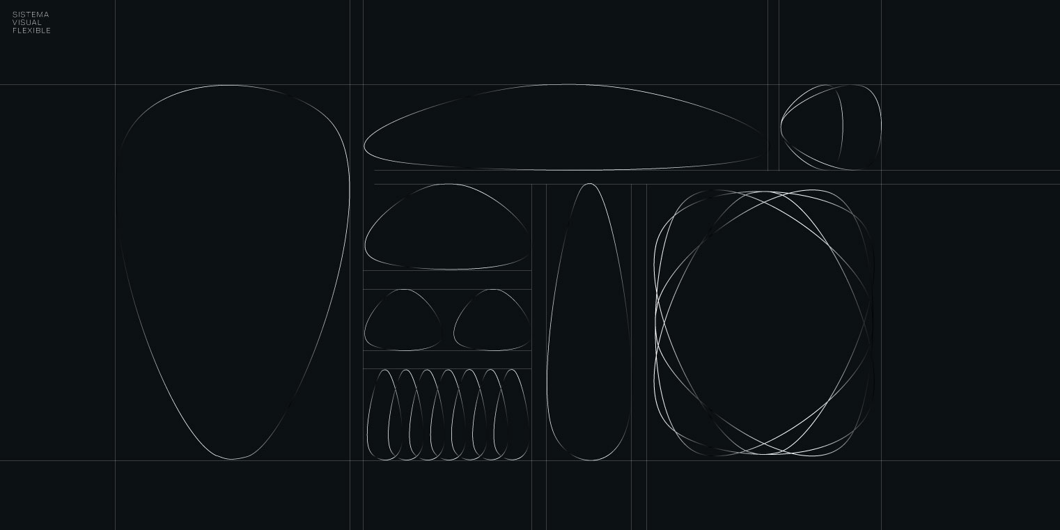 Alpha Protection: diseño de identidad, packaging y desarrollo de aplicaciones — imagen 13