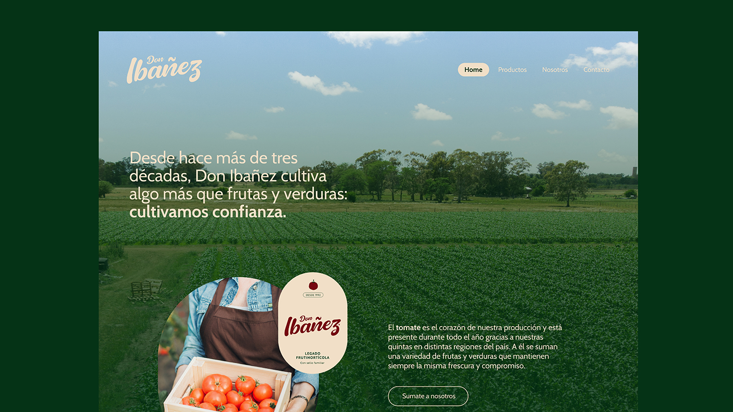 Don Ibañez: diseño de identidad, desarrollo de aplicaciones, diseño UX/UI — imagen 15