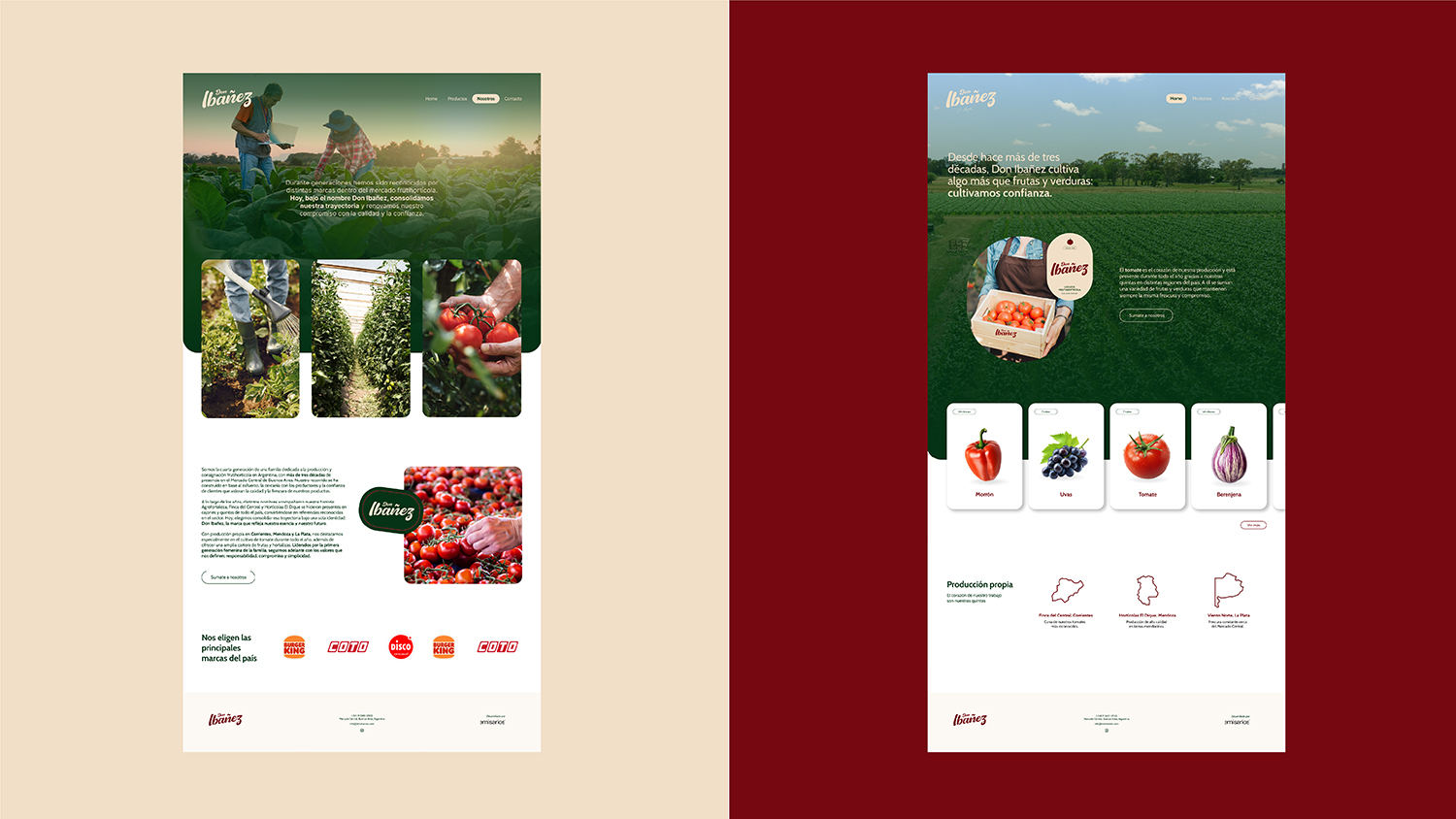 Don Ibañez: diseño de identidad, desarrollo de aplicaciones, diseño UX/UI — imagen 19