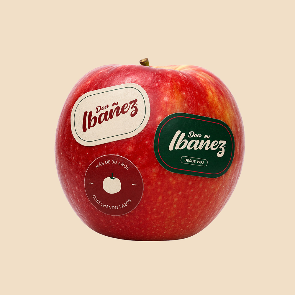 Don Ibañez: diseño de identidad, desarrollo de aplicaciones, diseño UX/UI — imagen 5