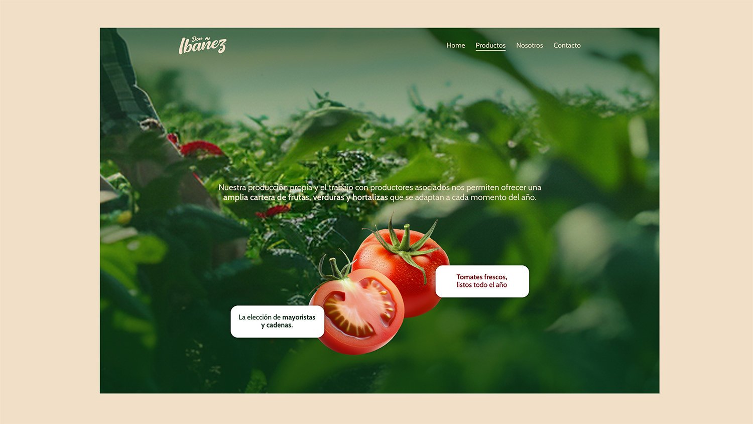 Don Ibañez: diseño de identidad, desarrollo de aplicaciones, diseño UX/UI — imagen 21