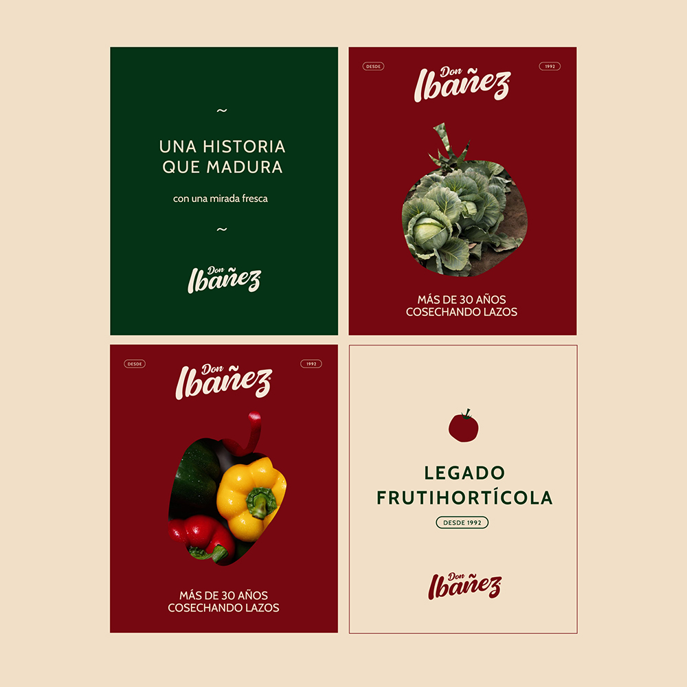 Don Ibañez: diseño de identidad, desarrollo de aplicaciones, diseño UX/UI — imagen 22