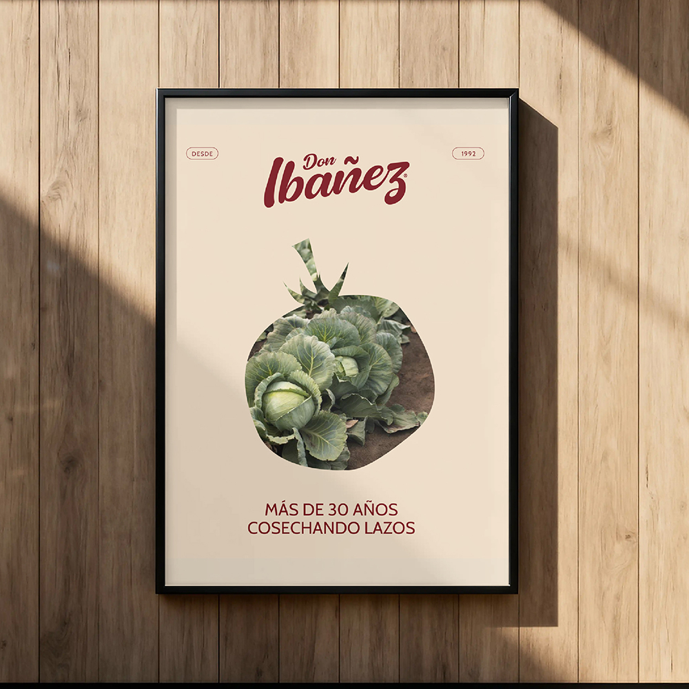 Don Ibañez: diseño de identidad, desarrollo de aplicaciones, diseño UX/UI — imagen 23