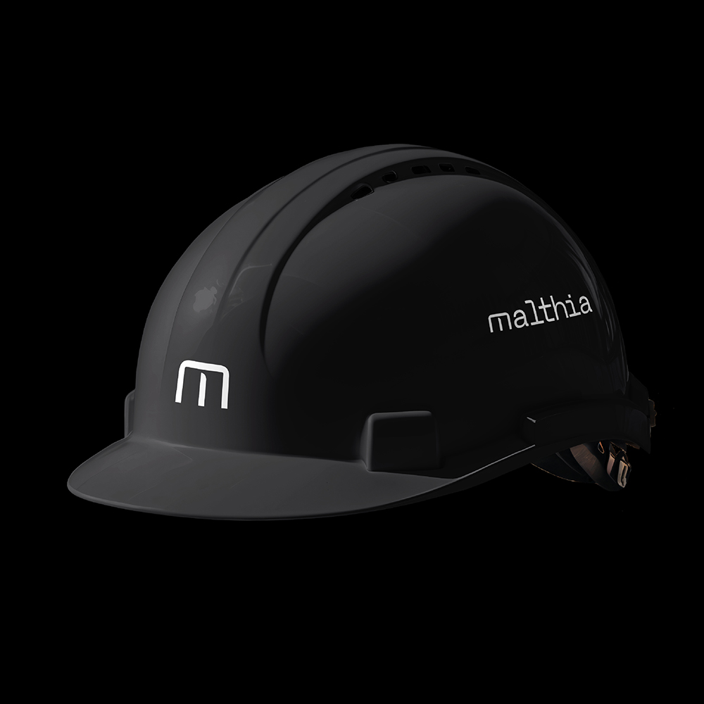 Malthia: diseño de identidad y desarrollo de aplicaciones — imagen 2