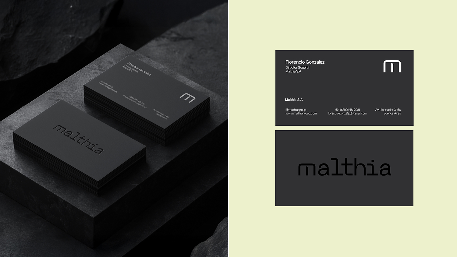 Malthia: diseño de identidad y desarrollo de aplicaciones — imagen 12
